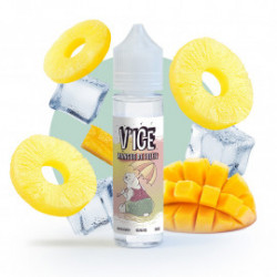 Mangue de soleil 50 ml - VDLV